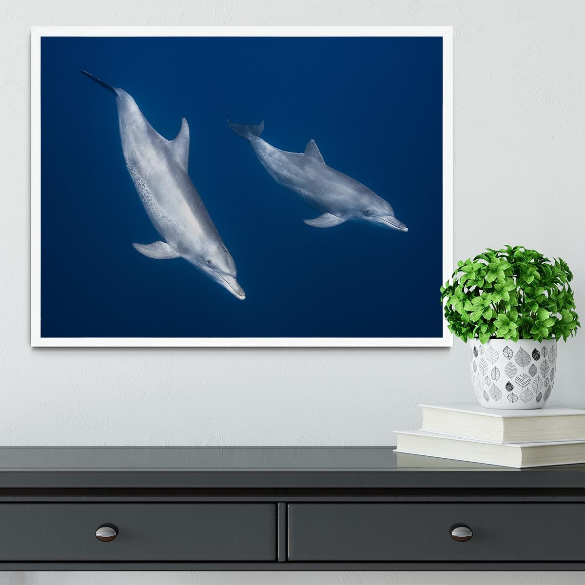 Bottlenose Dolphins Framed Print - 1x -6