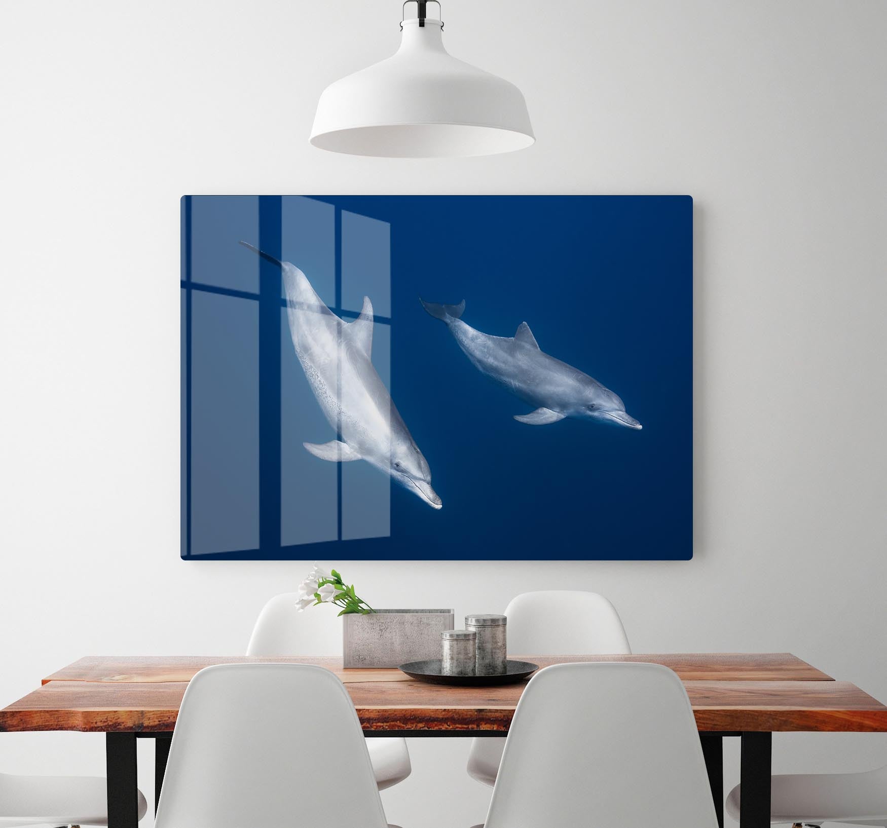 Bottlenose Dolphins HD Metal Print - 1x - 2