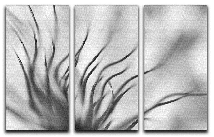 Abstract Boanical 3 Split Panel Canvas Print - Canvas Art Rocks - 1