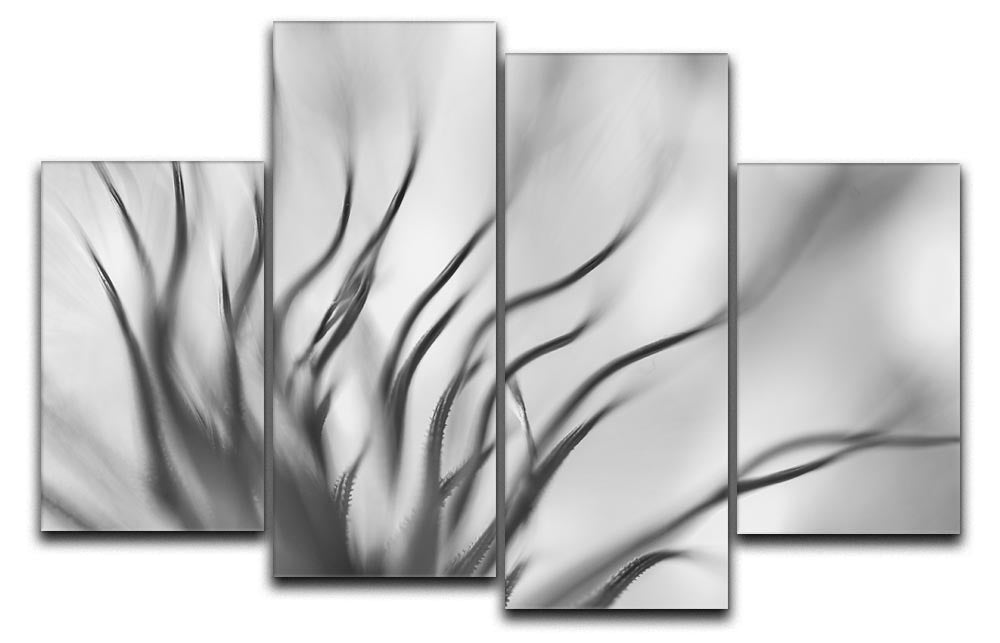 Abstract Boanical 4 Split Panel Canvas - Canvas Art Rocks - 1