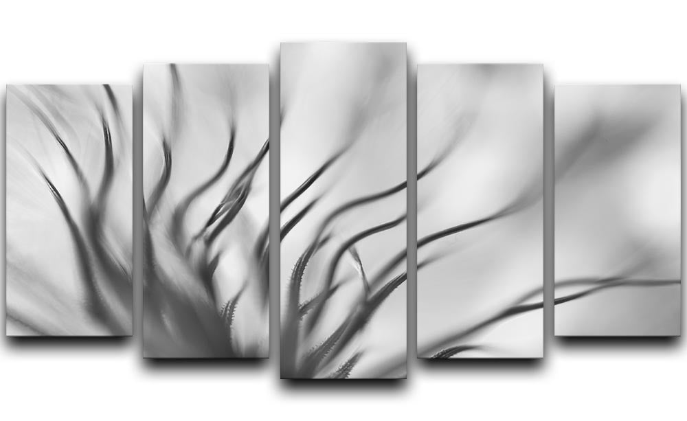 Abstract Boanical 5 Split Panel Canvas - Canvas Art Rocks - 1