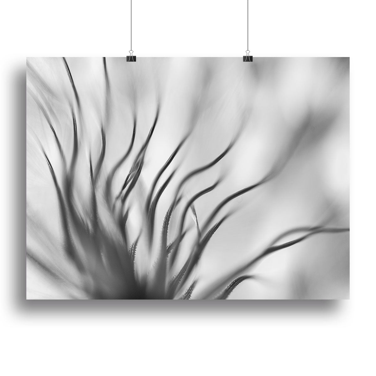 Abstract Boanical Canvas Print or Poster - Canvas Art Rocks - 2
