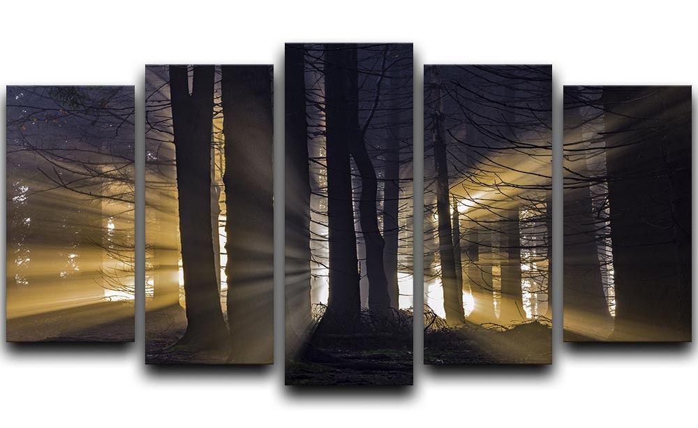 Autumn Forest 5 Split Panel Canvas - Canvas Art Rocks - 1