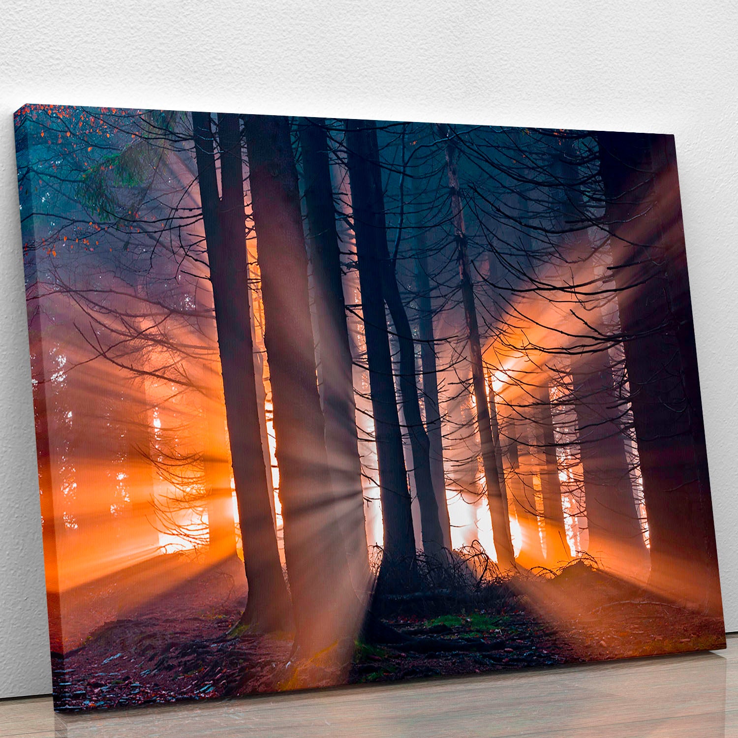 Autumn Forest Canvas Print or Poster - Canvas Art Rocks - 1