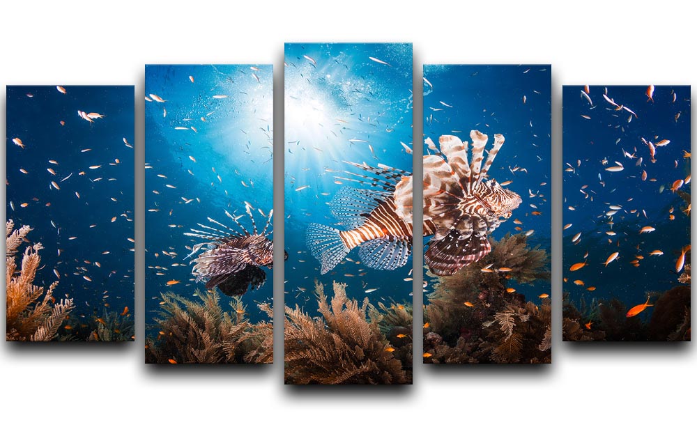 Lionfish 5 Split Panel Canvas - Canvas Art Rocks - 1