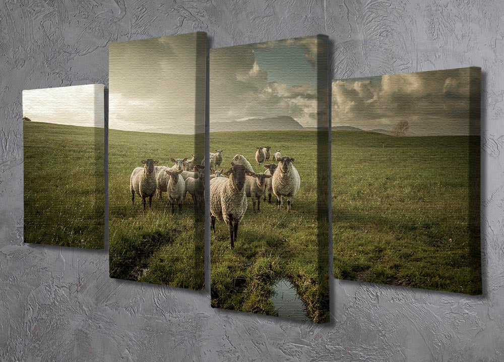 Sheep in field 4 Split Panel Canvas - Canvas Art Rocks - 2