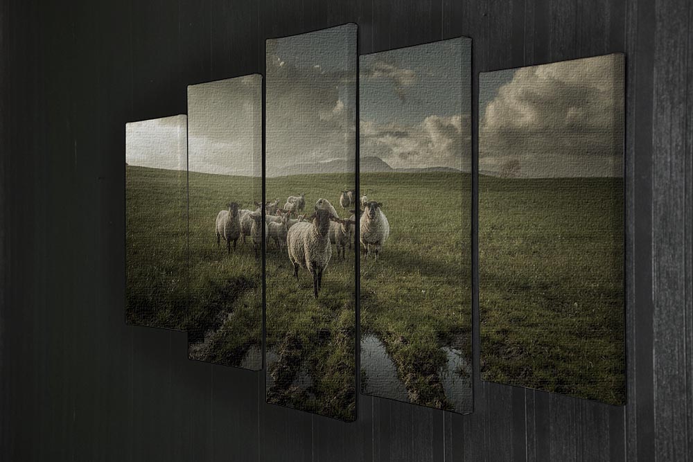 Sheep in field 5 Split Panel Canvas - Canvas Art Rocks - 2