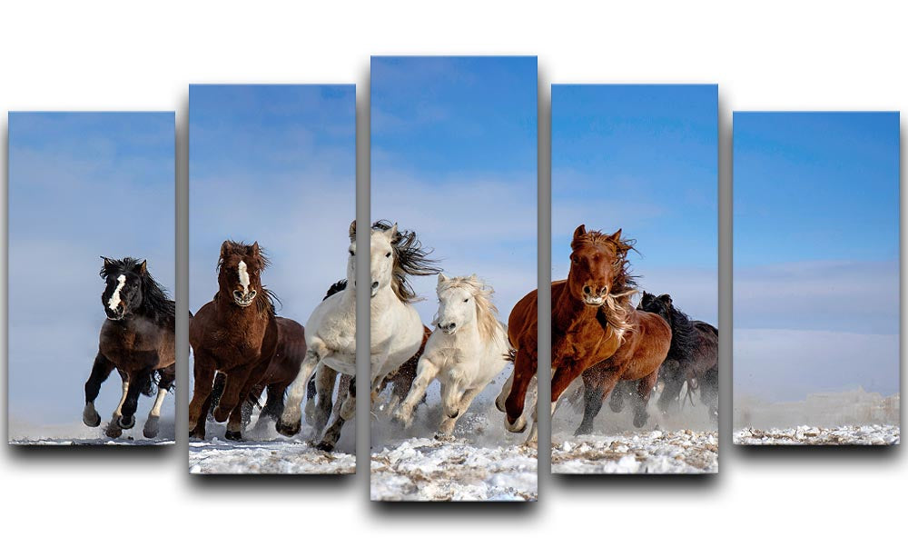 Mongolia Horses 5 Split Panel Canvas - Canvas Art Rocks - 1