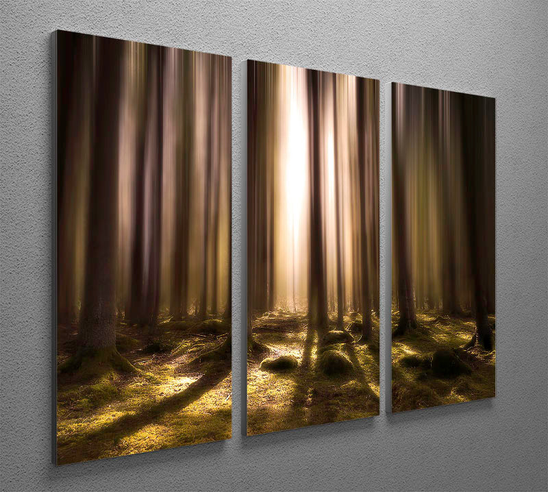 Breath Of Life 3 Split Panel Canvas Print - Canvas Art Rocks - 2