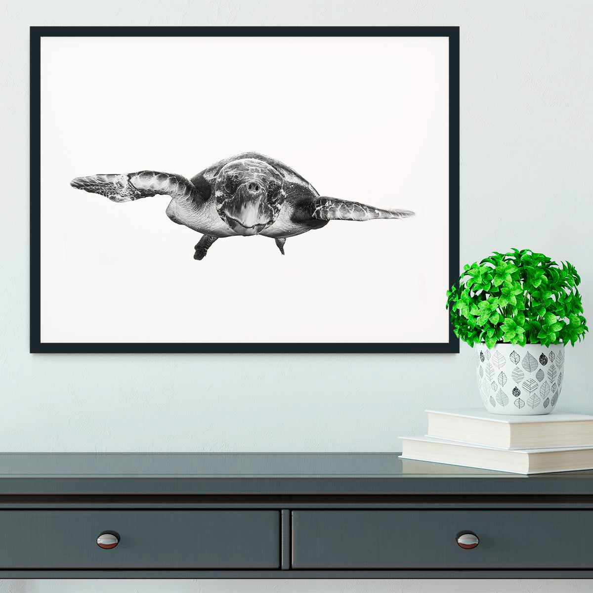 White And Turtle Framed Print - Canvas Art Rocks - 1