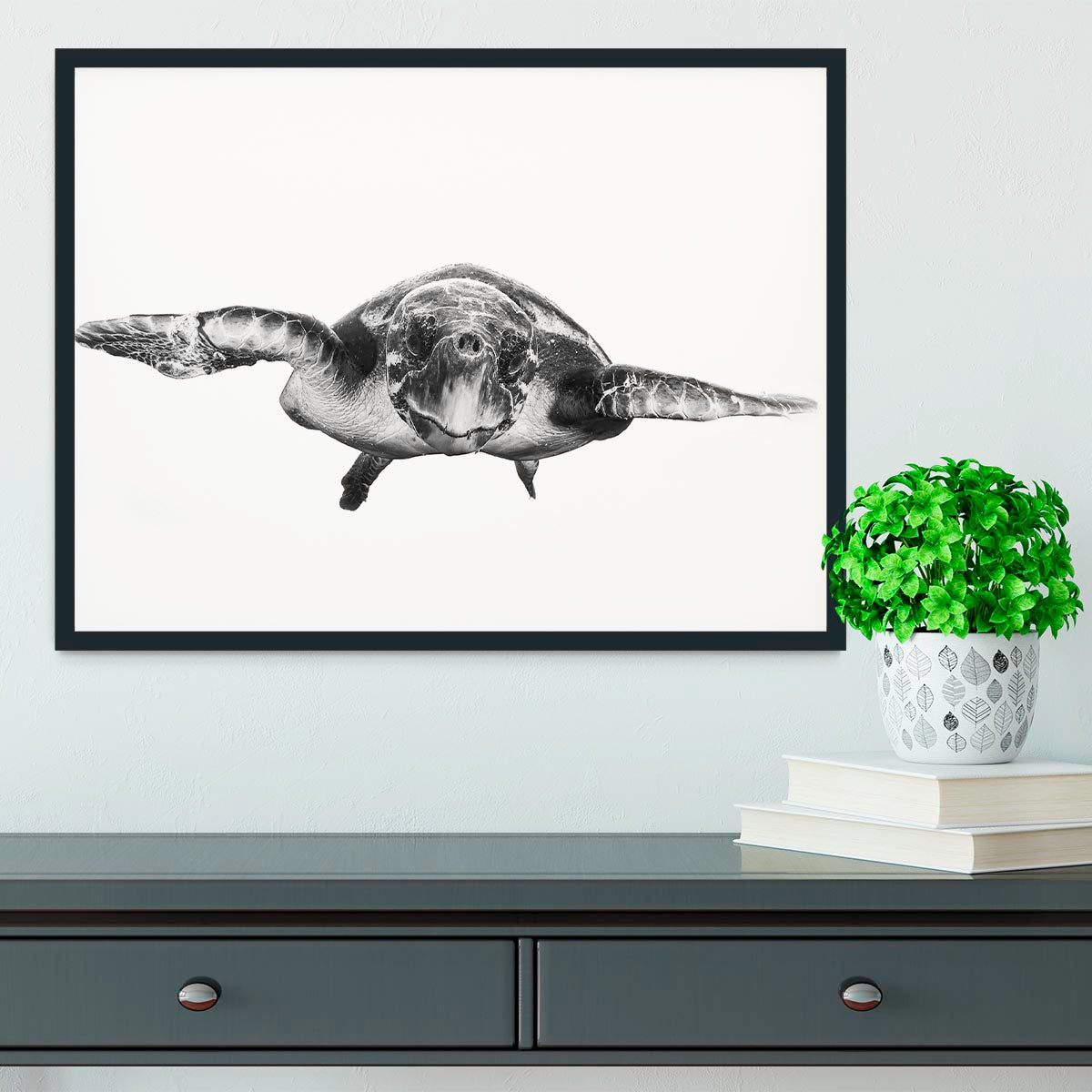 White And Turtle Framed Print - Canvas Art Rocks - 2