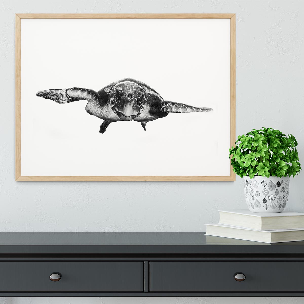 White And Turtle Framed Print - Canvas Art Rocks - 3