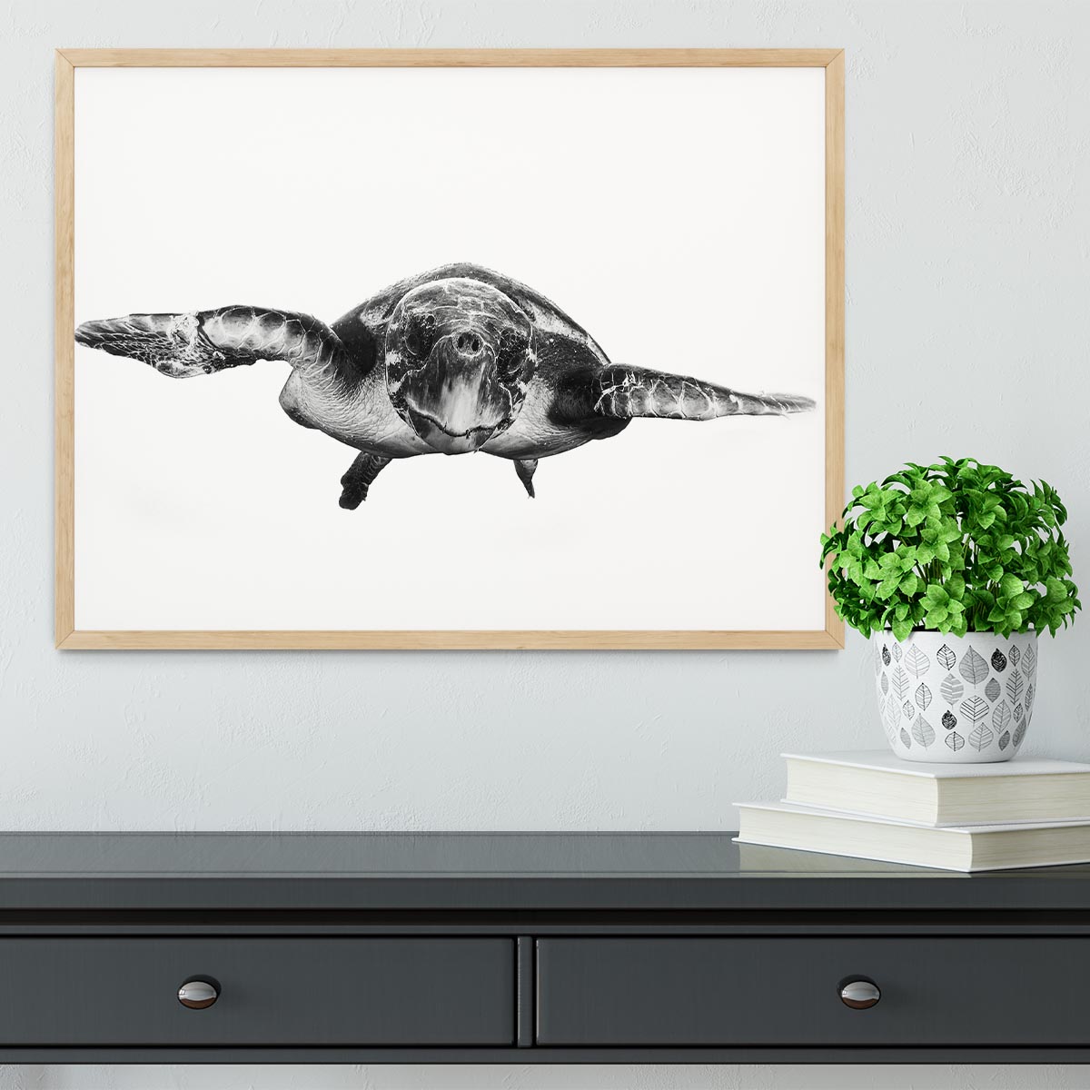 White And Turtle Framed Print - Canvas Art Rocks - 4