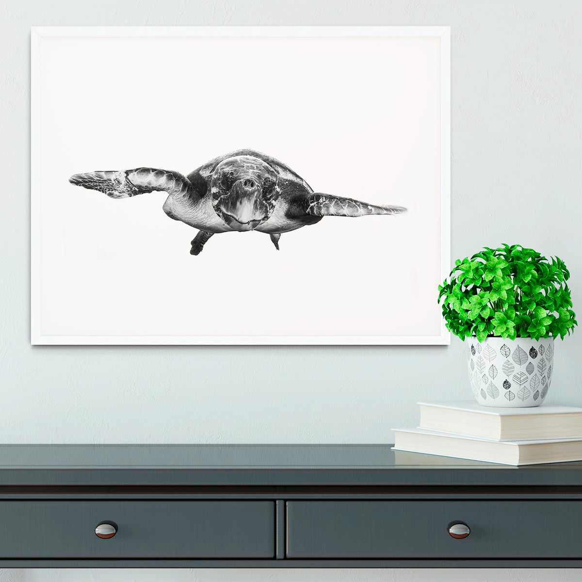 White And Turtle Framed Print - Canvas Art Rocks - 5