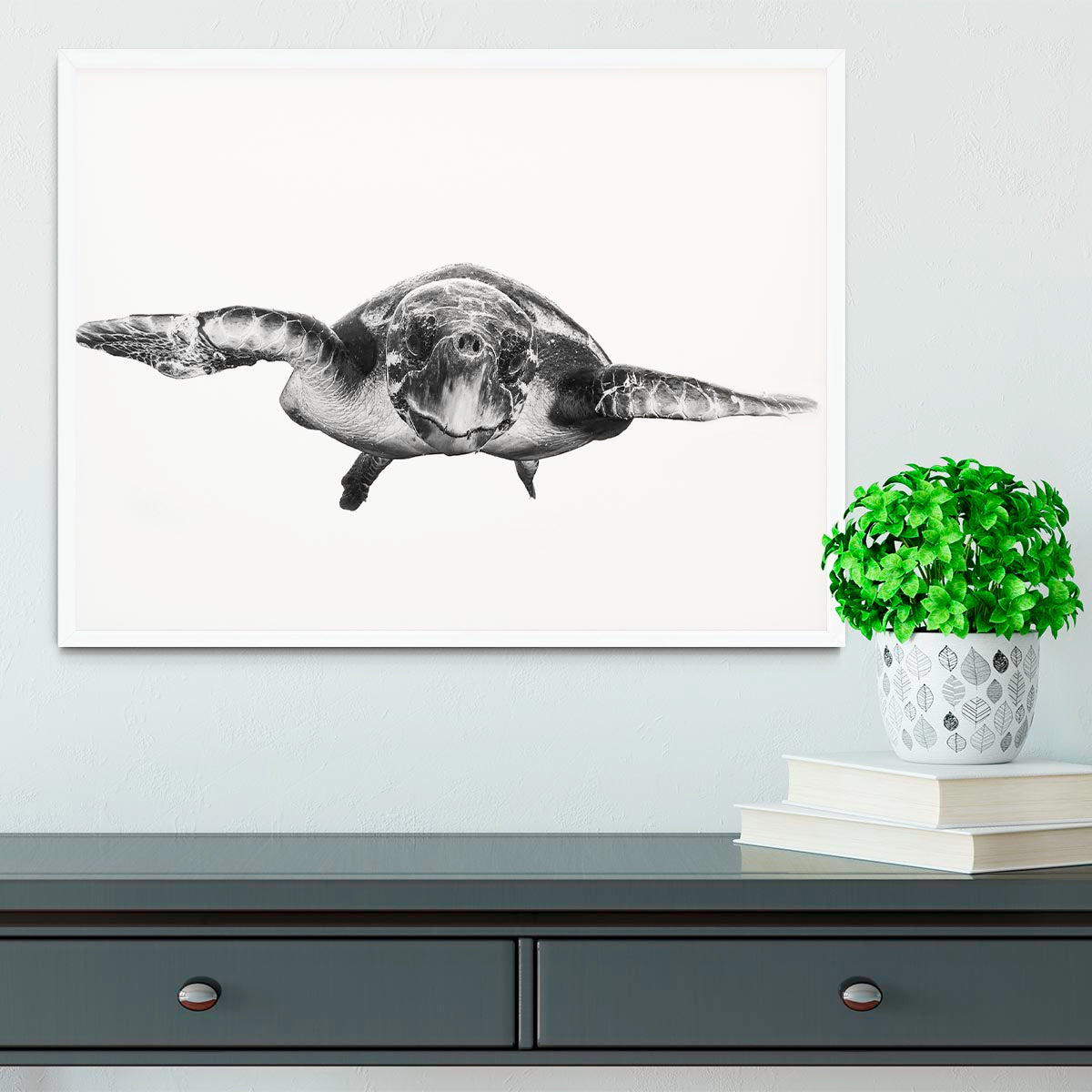 White And Turtle Framed Print - Canvas Art Rocks -6