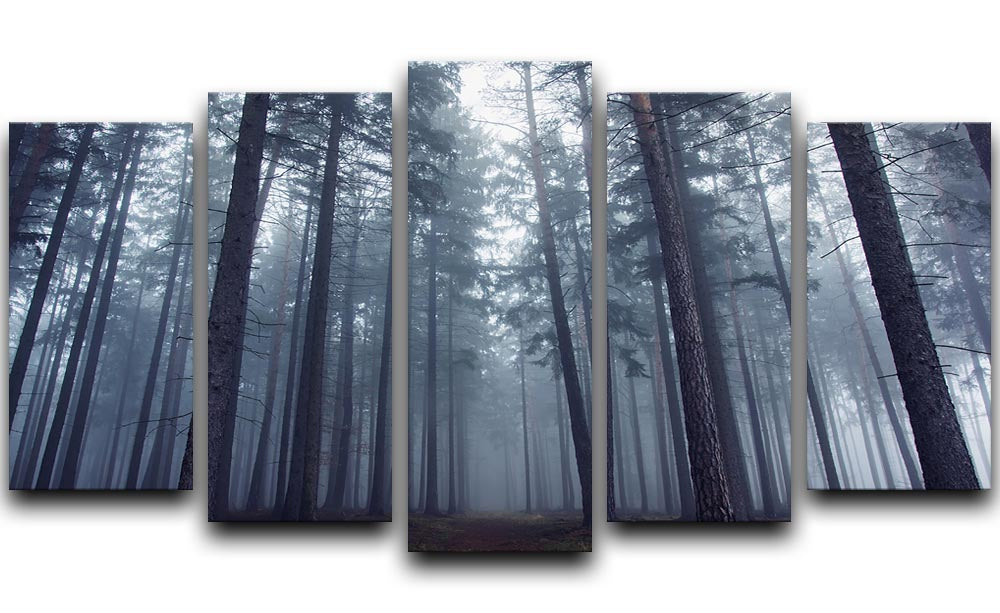 Mysterious Foggy Forest 5 Split Panel Canvas - Canvas Art Rocks - 1
