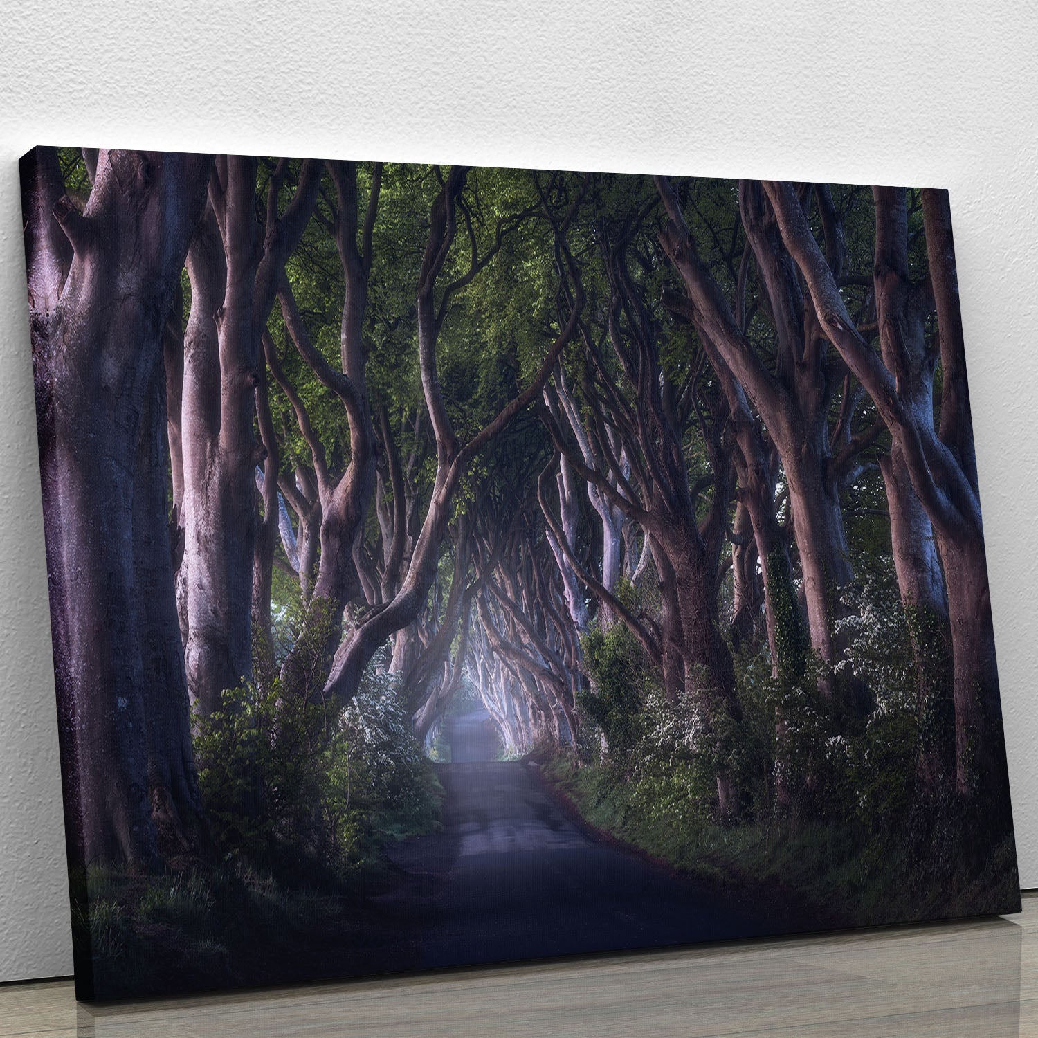The Dark Hedges Canvas Print or Poster - Canvas Art Rocks - 1