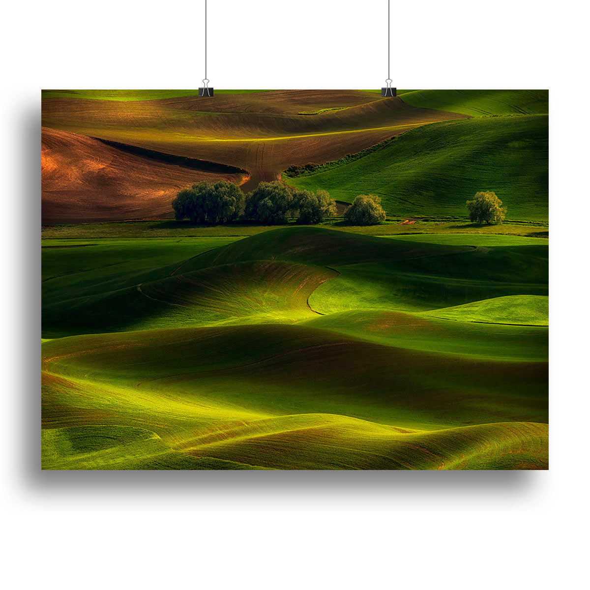 Spring In The Palouse Canvas Print or Poster - Canvas Art Rocks - 2