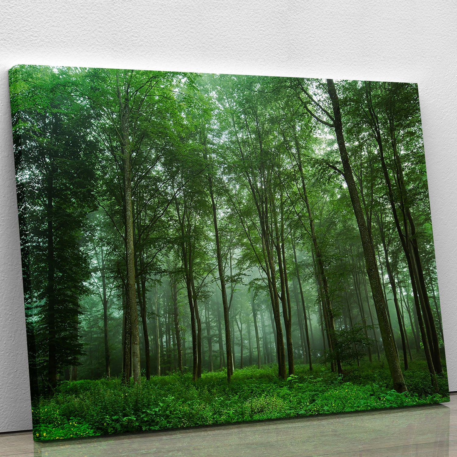 Forest View Canvas Print or Poster - Canvas Art Rocks - 1