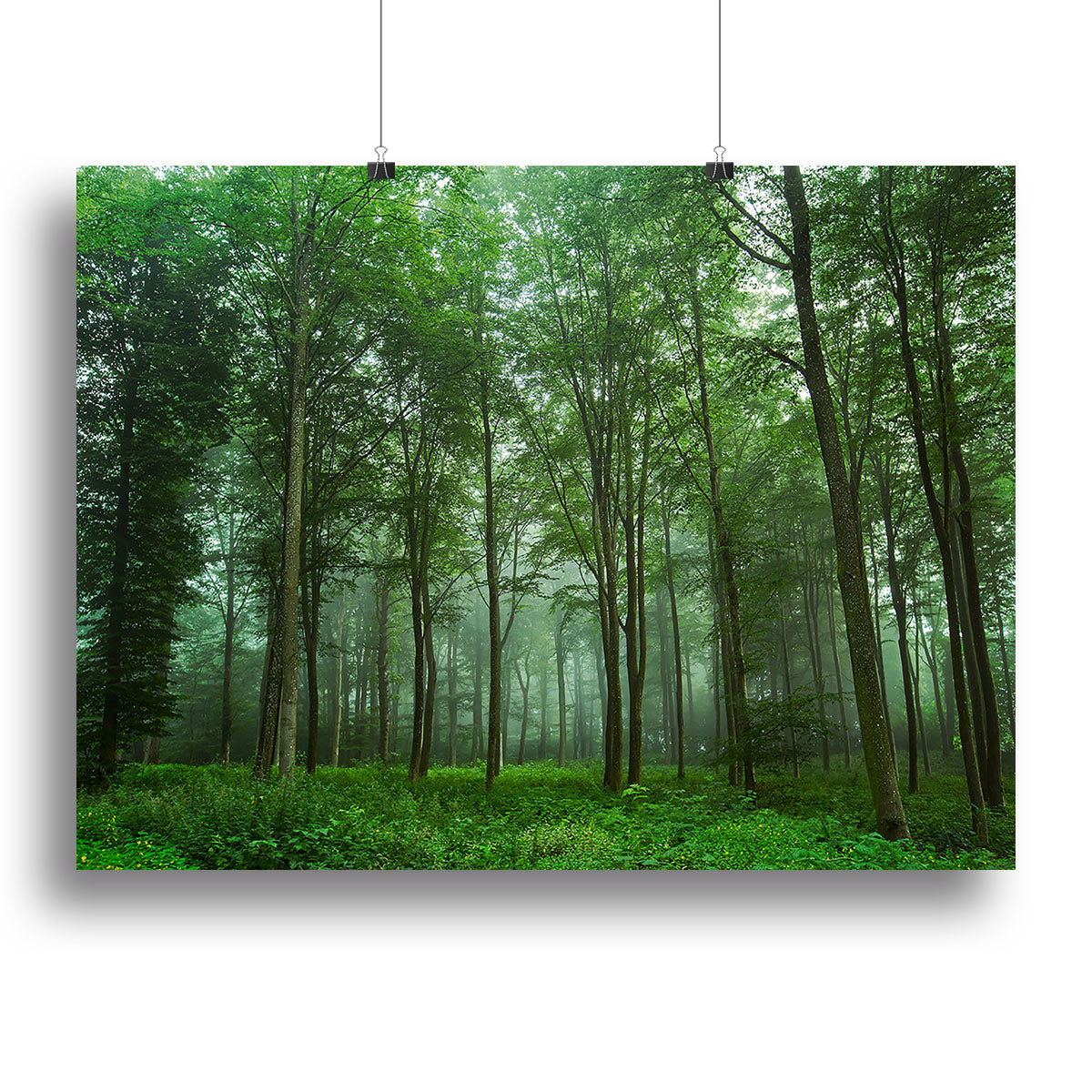 Forest View Canvas Print or Poster - Canvas Art Rocks - 2