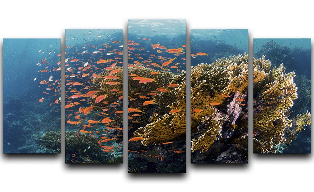 Reefscape 5 Split Panel Canvas - Canvas Art Rocks - 1