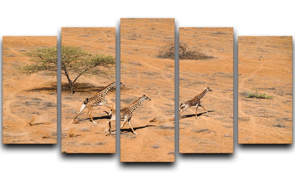 Giraffe Family Paradise 5 Split Panel Canvas - Canvas Art Rocks - 1