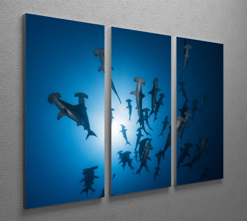Hammerhead Shark 2 3 Split Panel Canvas Print - Canvas Art Rocks - 2