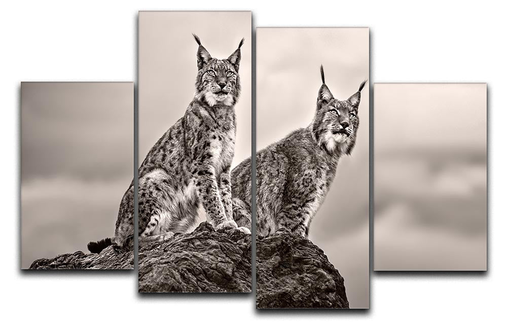 Two Lynx on rock 4 Split Panel Canvas - Canvas Art Rocks - 1