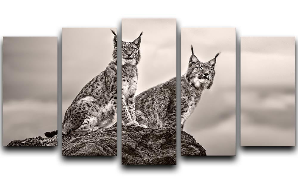 Two Lynx on rock 5 Split Panel Canvas - Canvas Art Rocks - 1