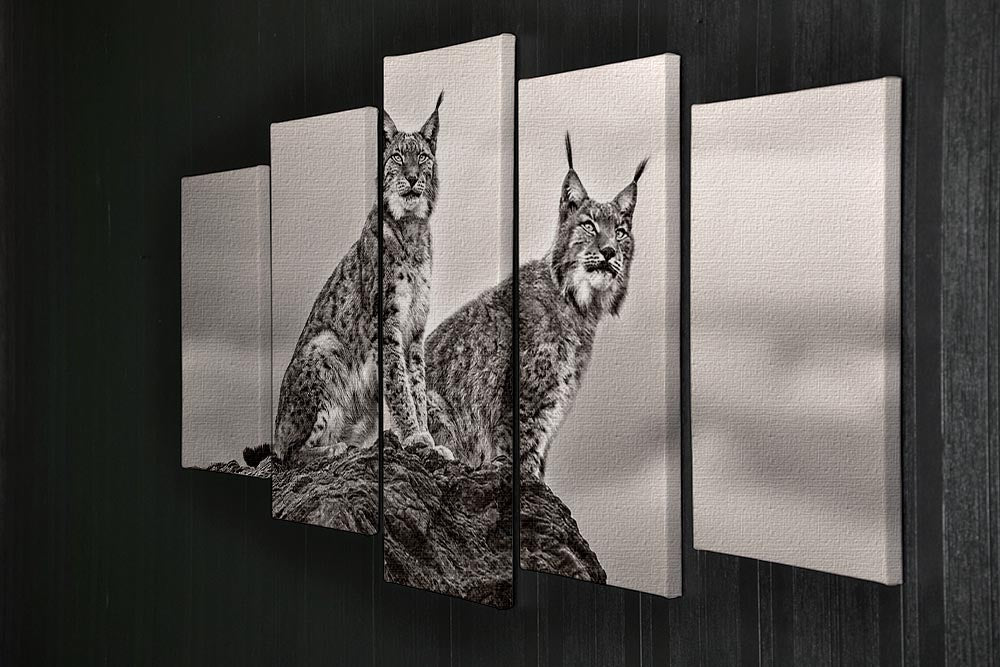Two Lynx on rock 5 Split Panel Canvas - Canvas Art Rocks - 2