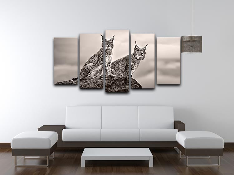 Two Lynx on rock 5 Split Panel Canvas - Canvas Art Rocks - 3
