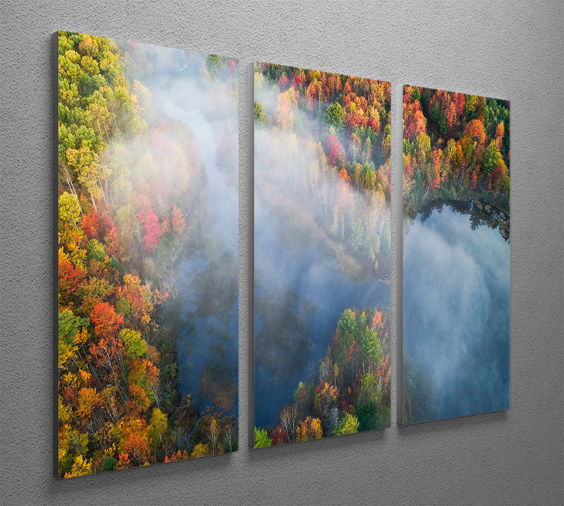 Autumn Symphony I 3 Split Panel Canvas Print - Canvas Art Rocks - 2