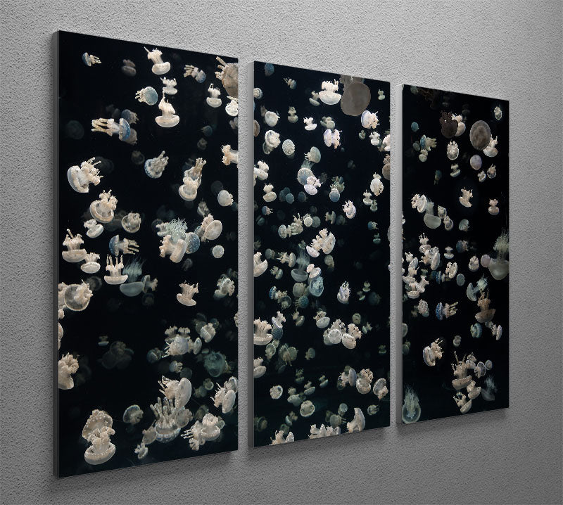 Just Some Jellies 3 Split Panel Canvas Print - Canvas Art Rocks - 2