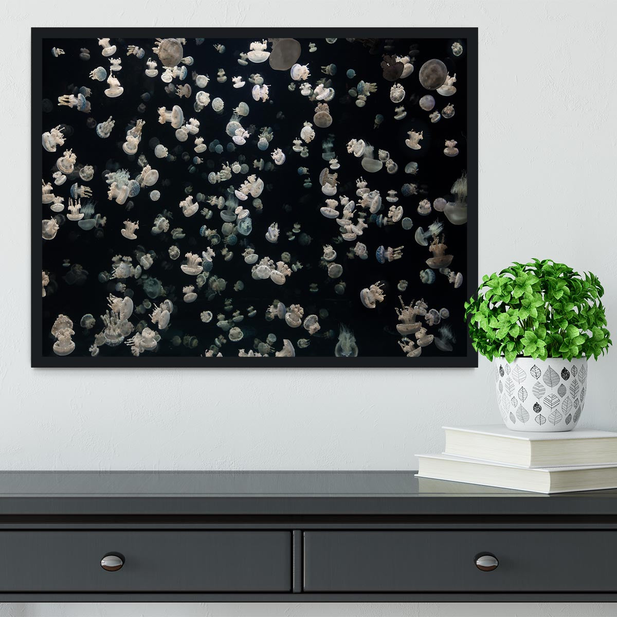 Just Some Jellies Framed Print - Canvas Art Rocks - 2