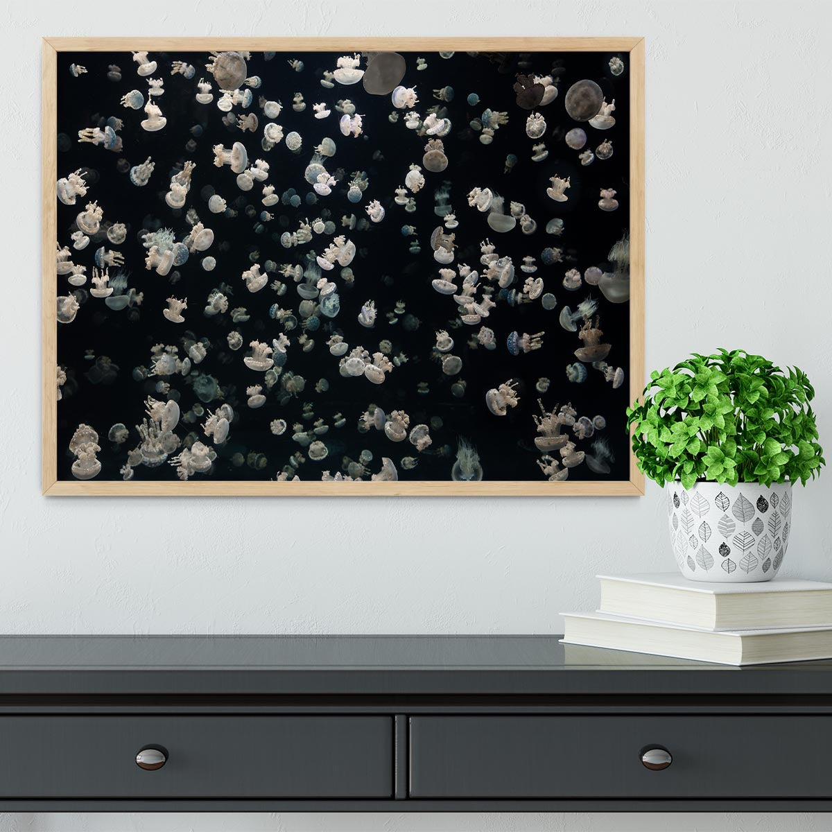 Just Some Jellies Framed Print - Canvas Art Rocks - 4