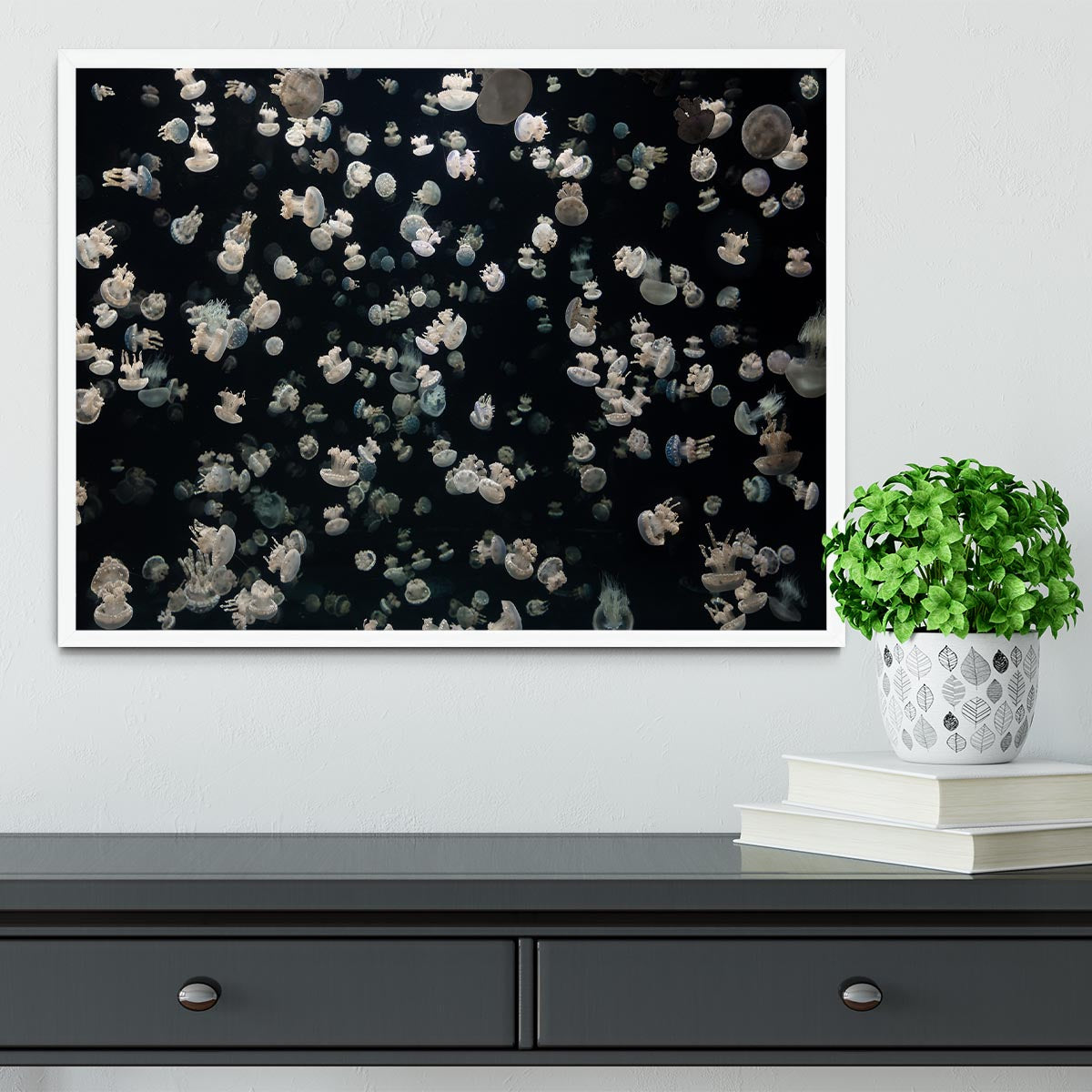 Just Some Jellies Framed Print - Canvas Art Rocks -6