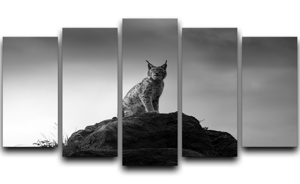 Lynx drama 5 Split Panel Canvas - Canvas Art Rocks - 1