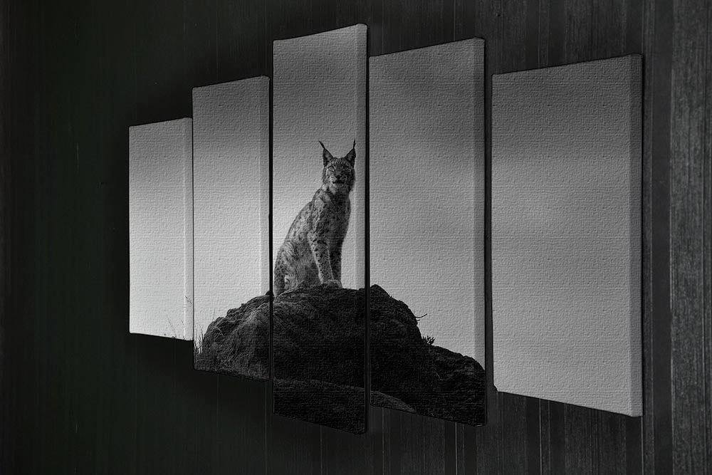Lynx drama 5 Split Panel Canvas - Canvas Art Rocks - 2