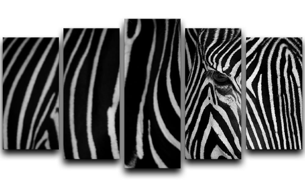 Zebra Pattern 5 Split Panel Canvas - Canvas Art Rocks - 1