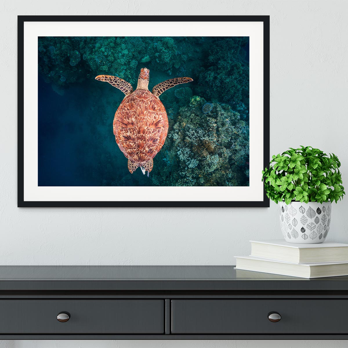 Flying Over The Reef Framed Print - Canvas Art Rocks - 1