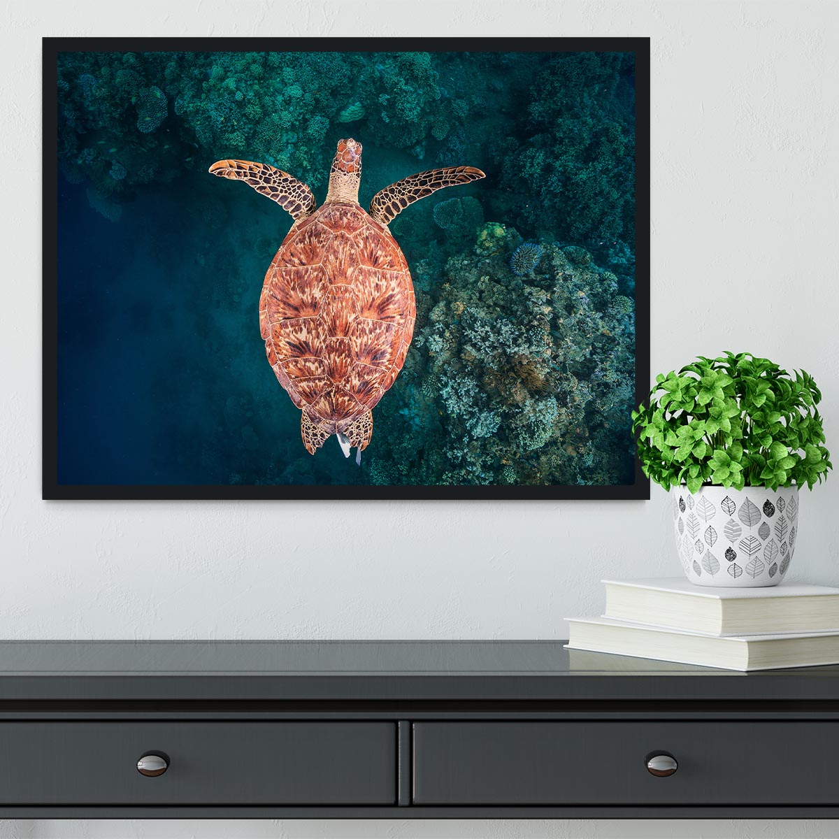 Flying Over The Reef Framed Print - Canvas Art Rocks - 2