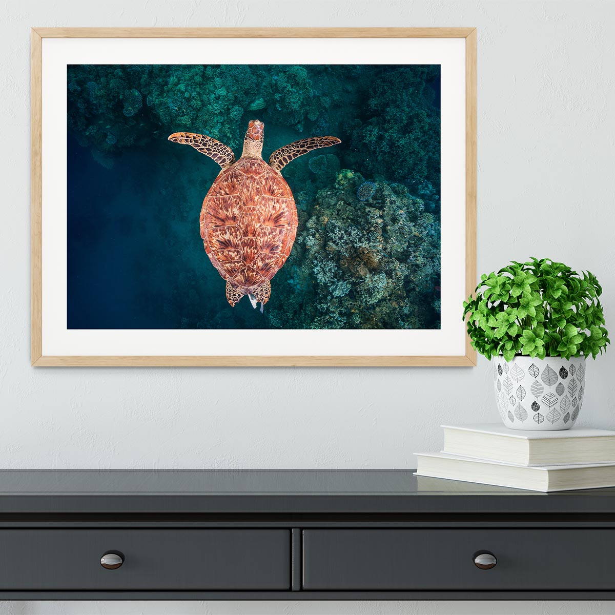 Flying Over The Reef Framed Print - Canvas Art Rocks - 3