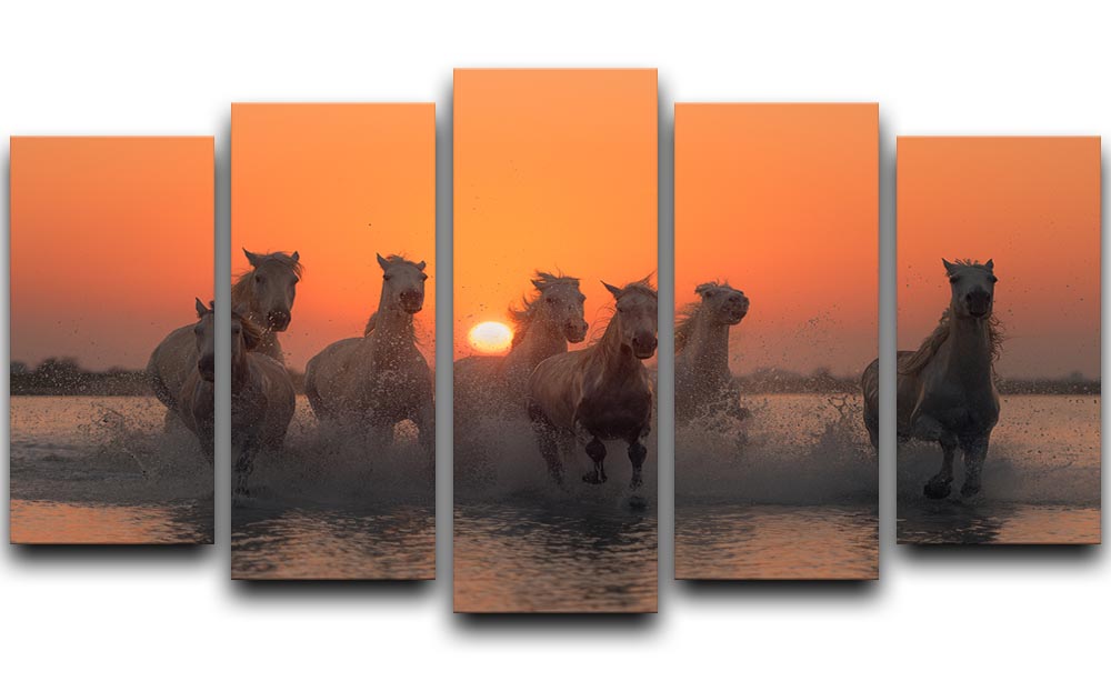 Horses Sunset in Camargue 5 Split Panel Canvas - Canvas Art Rocks - 1