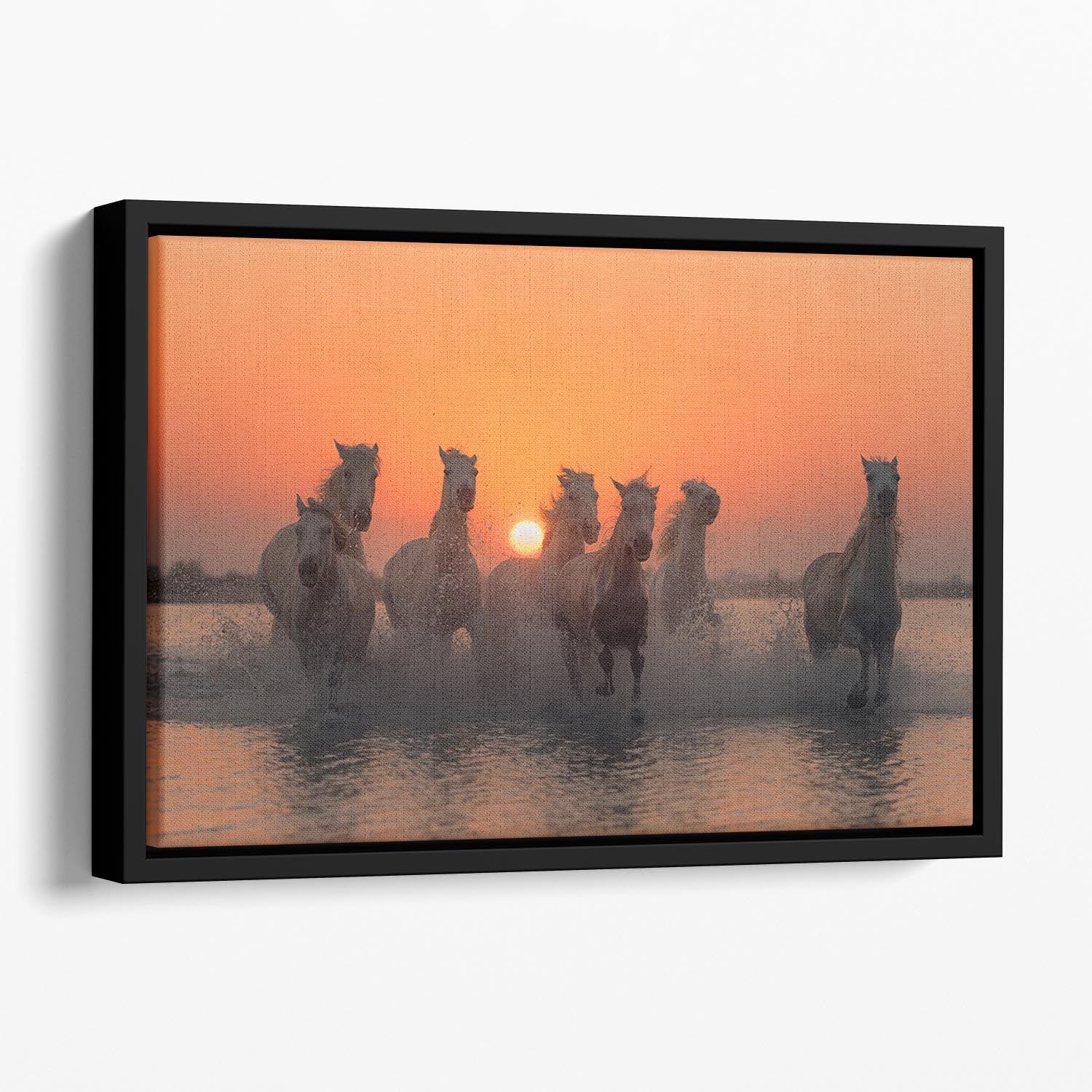 Horses Sunset in Camargue Floating Framed Canvas - Canvas Art Rocks - 1