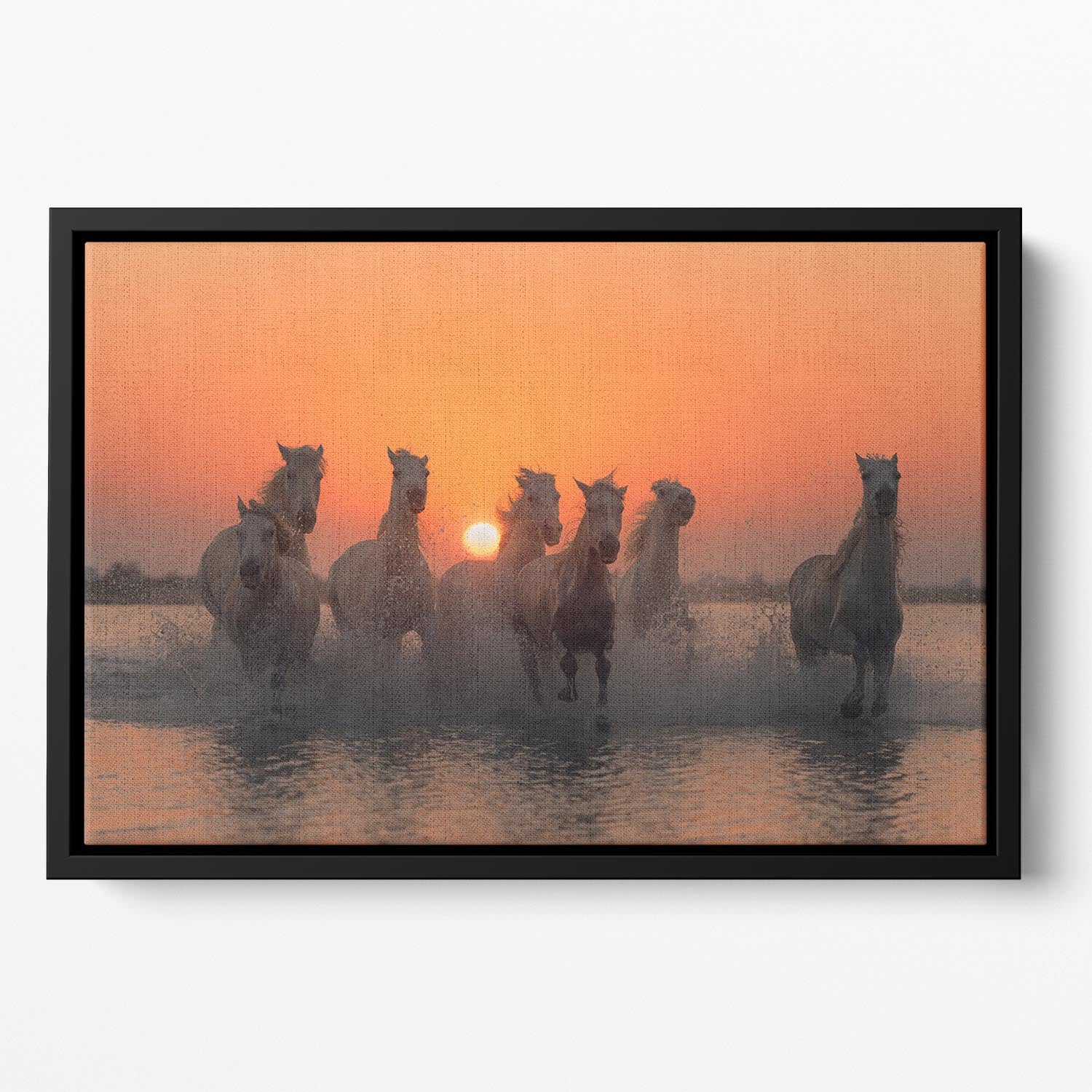 Horses Sunset in Camargue Floating Framed Canvas - Canvas Art Rocks - 2