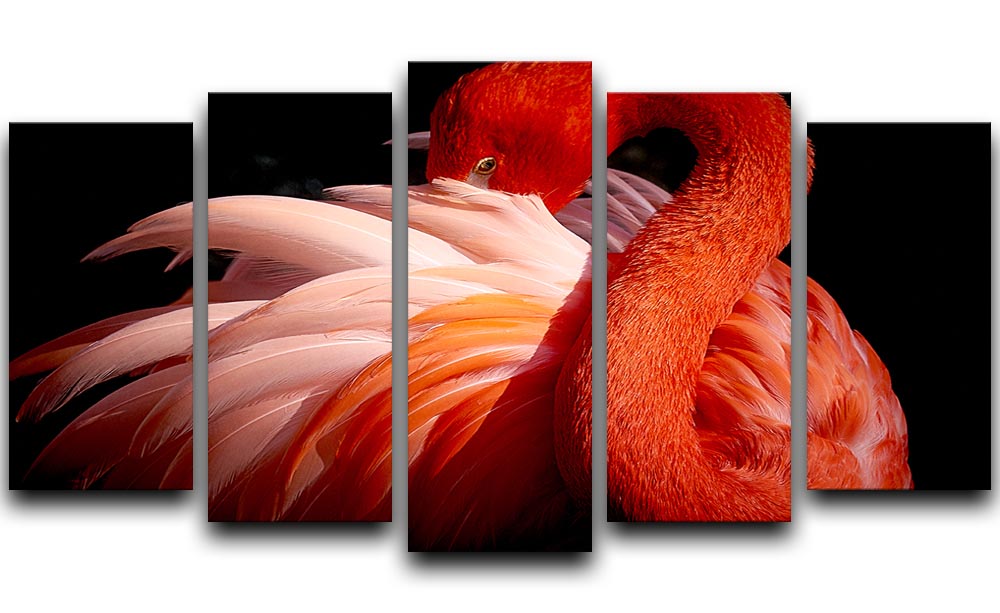 flamingo Close Up 5 Split Panel Canvas - Canvas Art Rocks - 1