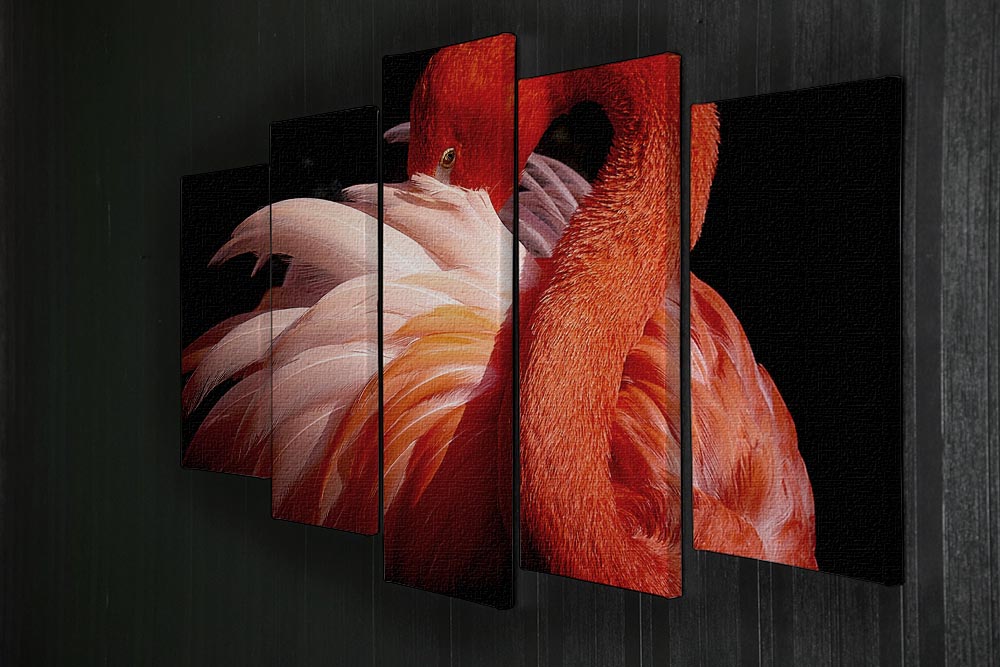 flamingo Close Up 5 Split Panel Canvas - Canvas Art Rocks - 2