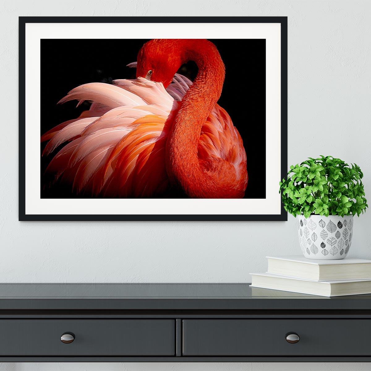 flamingo Close Up Framed Print - Canvas Art Rocks - 1