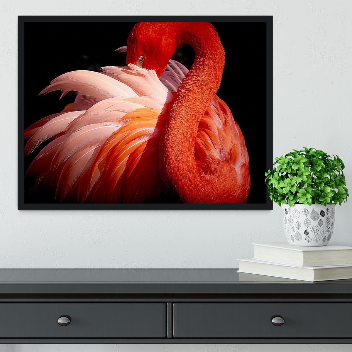 flamingo Close Up Framed Print - Canvas Art Rocks - 2