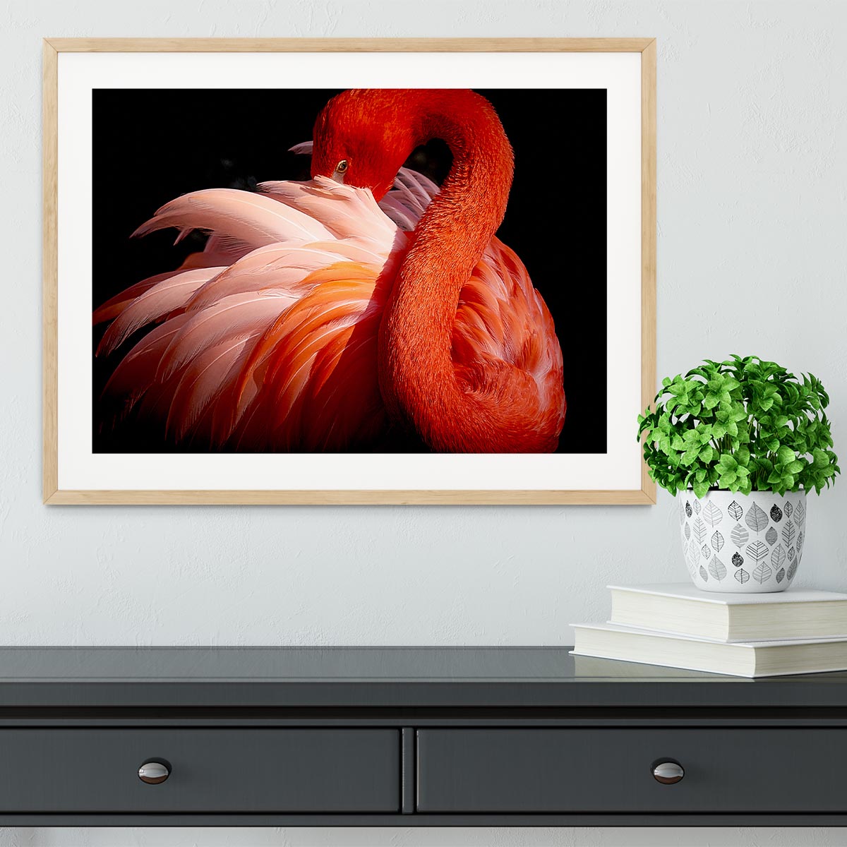 flamingo Close Up Framed Print - Canvas Art Rocks - 3